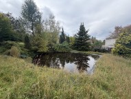IMG_5910