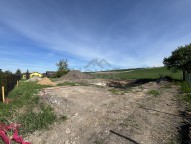 IMG_1346