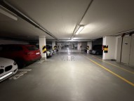 IMG_7774