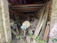 IMG_8238