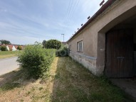 IMG_8230