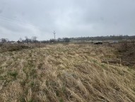 IMG_4668