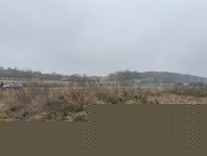 IMG_4667