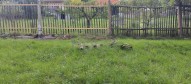 IMG-20260920-WA0022