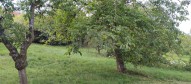 IMG-20260920-WA0030