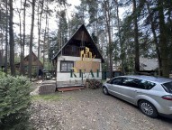 img-3707.jpeg