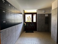 img-7864.jpeg