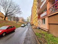 20241202-111311.jpg