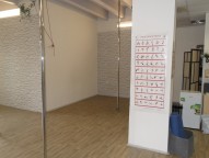 SDC14215