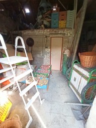 IMG_20250930_123829