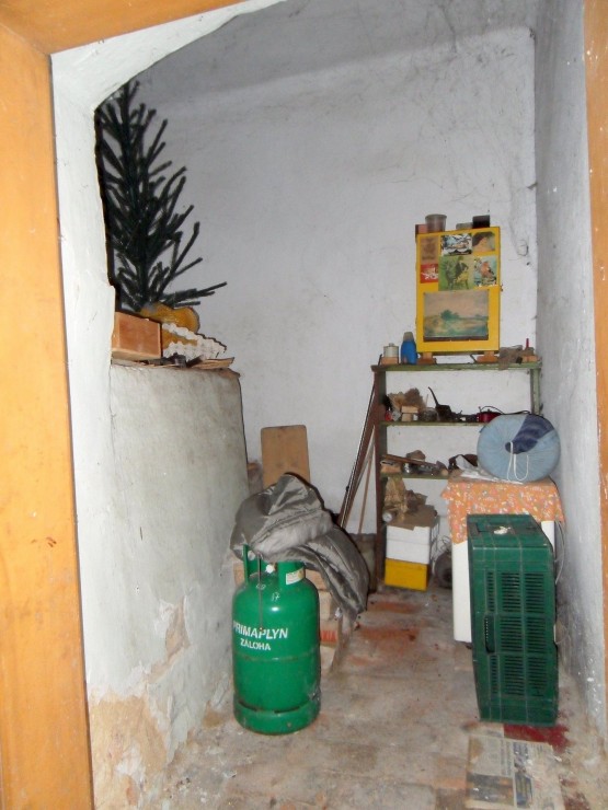 prodej-zemedelske-usedlosti-v-obci-vykan-22-6fcb45