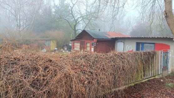 IMG_20260304_112049_1