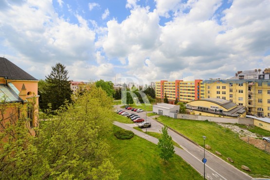 2023-05-11-12-16-39-cz6-2775.jpg