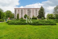 2024-06-19-08-55-10-cz6-5178.jpg