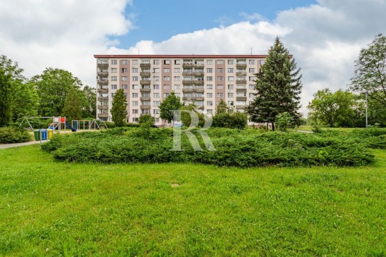 2024-06-19-08-55-10-cz6-5178.jpg