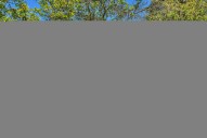 dsc04554.jpg