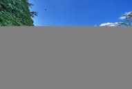 dsc04505.jpg