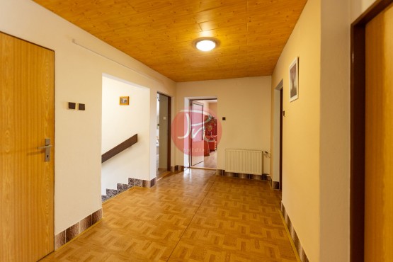dns06441-kopie.jpg