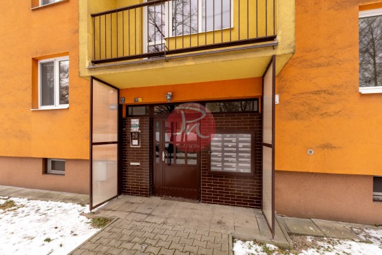 dns01326-kopie.jpg